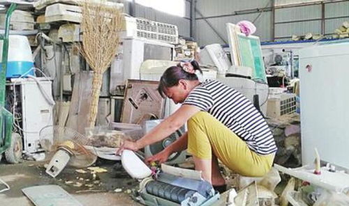 舊家電轉(zhuǎn)手幾十元？他人變廢為寶收入豐厚，多數(shù)人竟不知曉