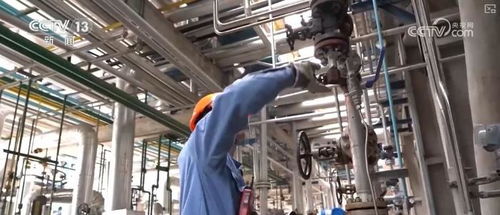煉化工廠成鳥兒新家 綠色工業設計服務，盡顯工業之美